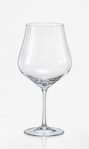 Bohemia Crystal - Tulipa Clear Balloon (Set of 6) - Limolin 