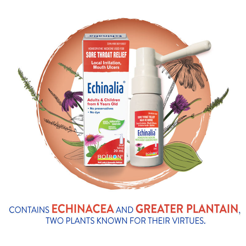 Boiron - Echinalia Sore Throat Spray 20ml - Limolin 