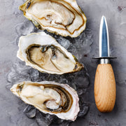 Browne - Oyster Knife w/Guard, Hardwood Handle, 3"/7.6cm, Carbon Steel - Limolin 
