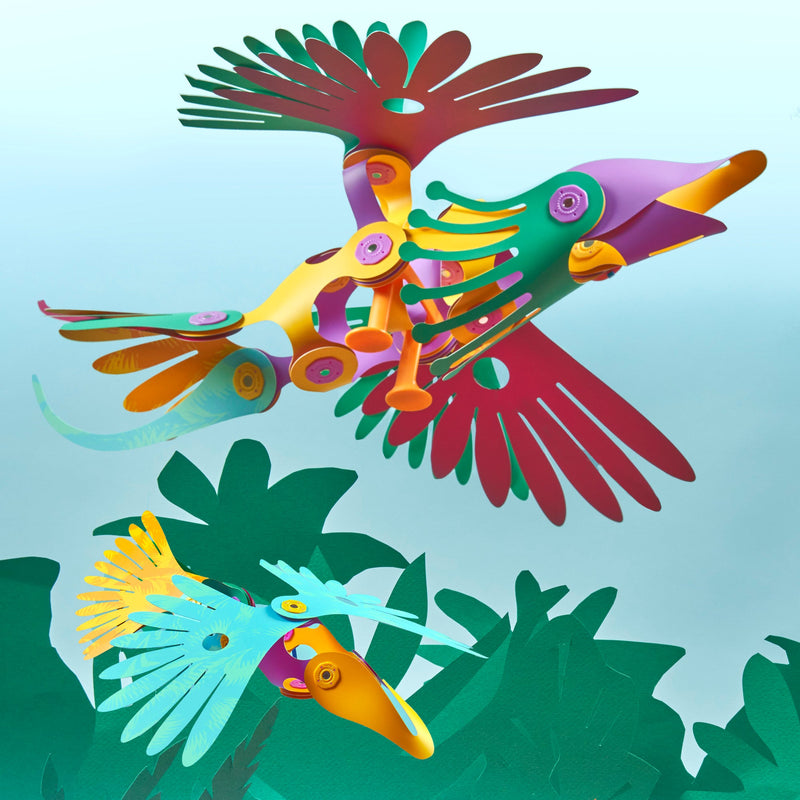 CLIXO - Tropical Birds Pack - Limolin 