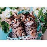 Clementoni - Lovely Kitty Twins (60-Piece Puzzle) - Limolin 