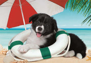Clementoni - Sunny Beach (104-Piece Puzzle) - Limolin 