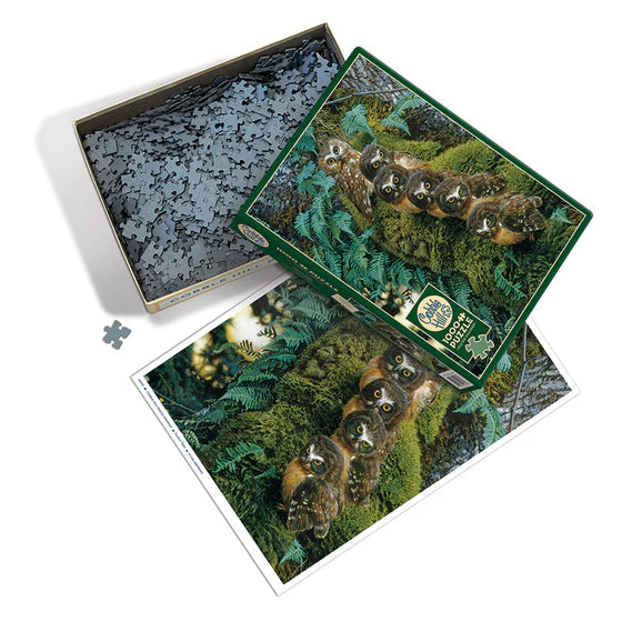 Cobble Hill - Family Tree (1000-Piece Puzzle) - Limolin 