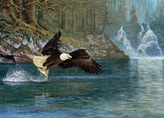 Cobble Hill - Fly Fishing - Limolin 