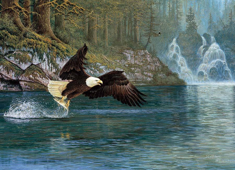 Cobble Hill - Fly Fishing - Limolin 