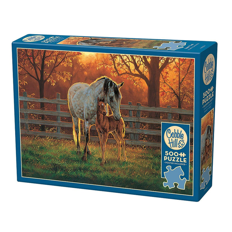 Cobble Hill - Quiet Time (500-Piece Puzzle) - Limolin 