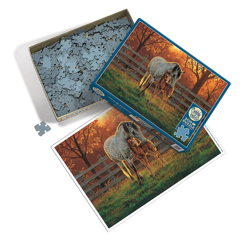 Cobble Hill - Quiet Time (500-Piece Puzzle) - Limolin 
