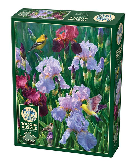 Cobble Hill - Spring Glory - Limolin 