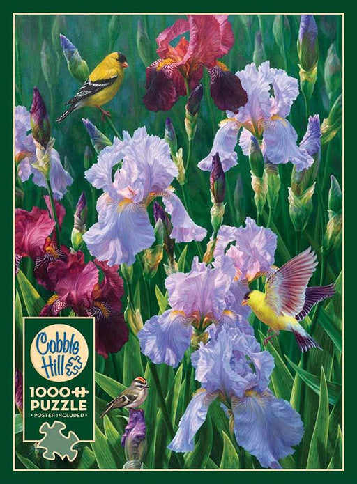 Cobble Hill - Spring Glory - Limolin 
