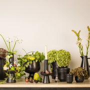 Costa Nova - Le Jardin Noir Trianon Piece - Limolin 