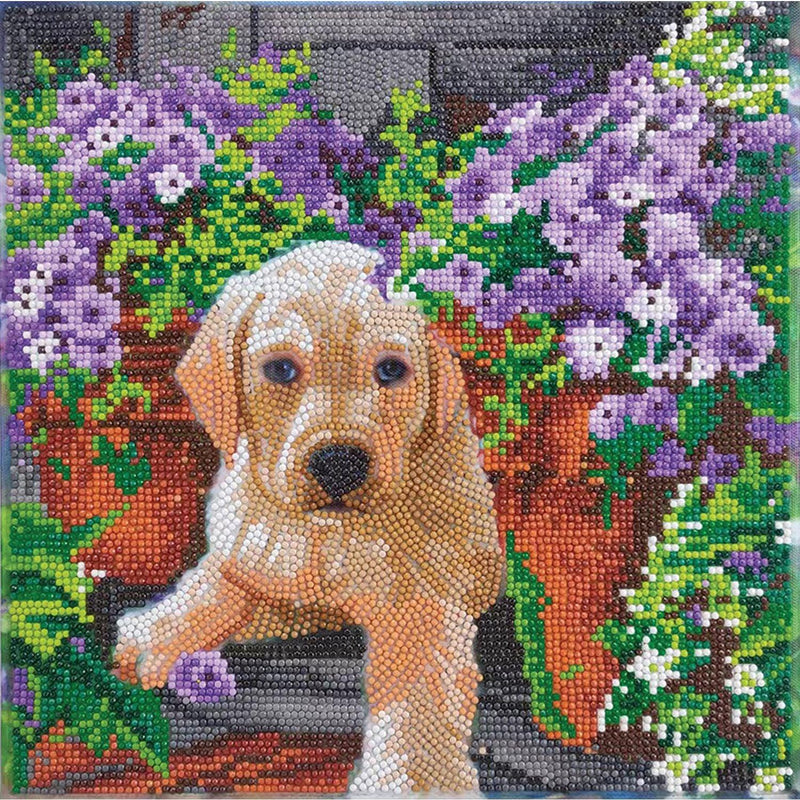 Crystal Art - CA Kit (Medium) - Floral Pup - Limolin 