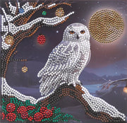Crystal Art - Card Kit: Frosted Moon - Limolin 