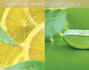 Cuccio - Butter White Limetta & Aloe Vera Beurre Blend 8Oz - Limolin 