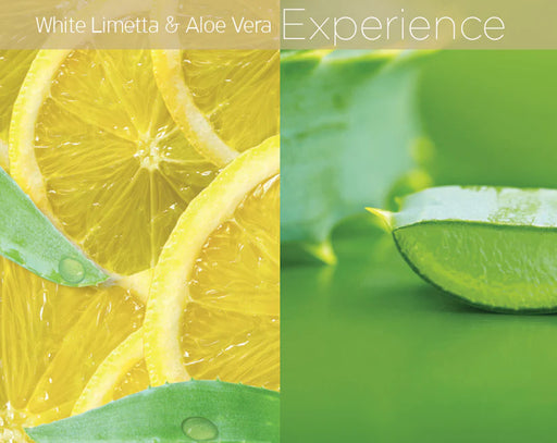 Cuccio - Lytes Ultra-Sheer Body Butter White Limetta & Aloe Vera (8Oz) - Limolin 