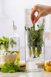 Kilner - Herb Keeper