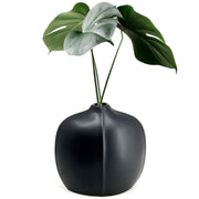 Natural Living - Bud Vase - Soft Black — black bud vase with a leafy stem.