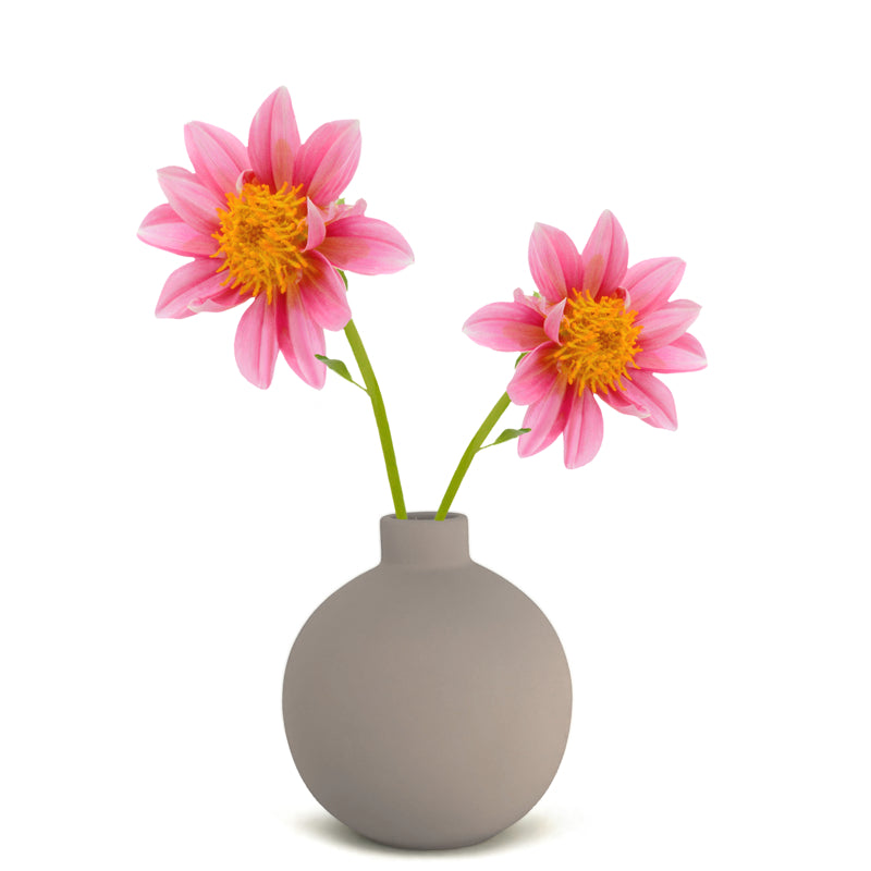 Natural Living - Bulb Vase
