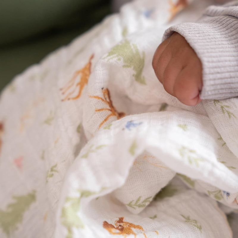 aden + anais - Swaddles | Disney + Friends 2-Pack - Neutral