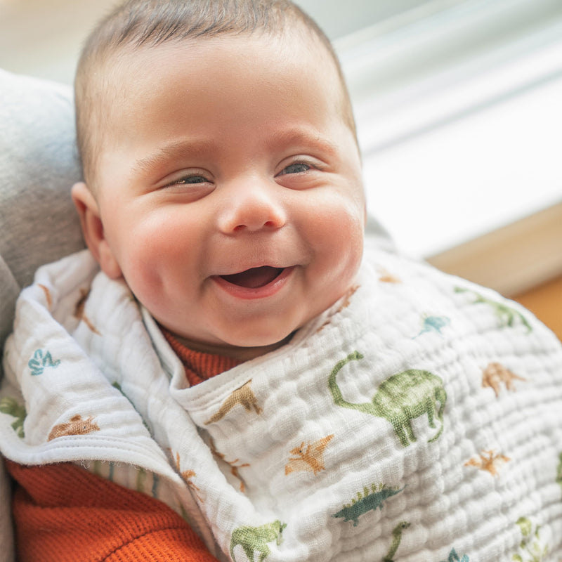 aden + anais - Burpy Bib | Dino Jungle - Boy
