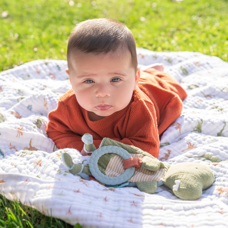 aden + anais - Muslin Blanket | Dino Jungle - Boy