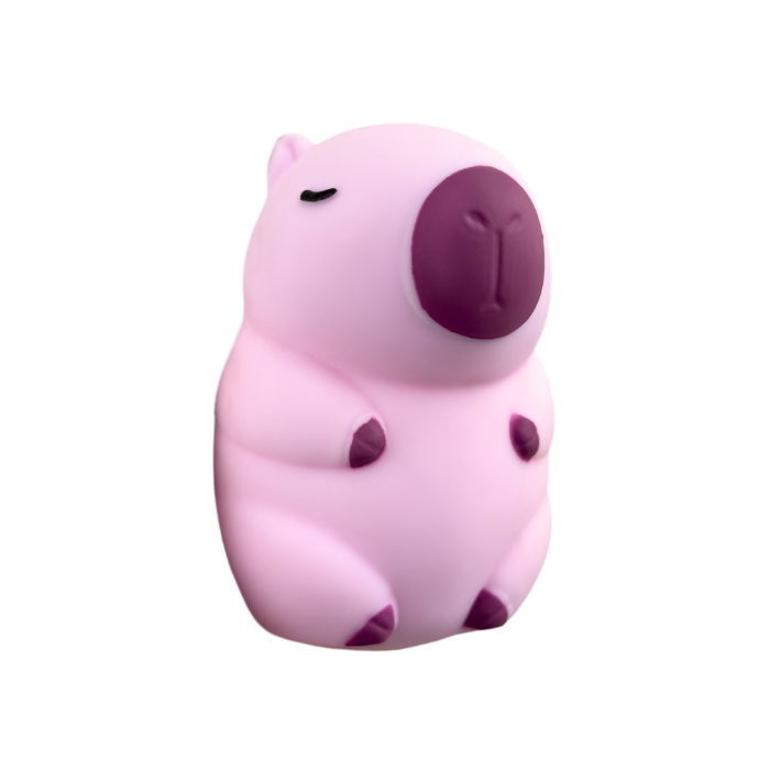 Chubby - Capybara