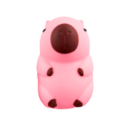 Chubby - Capybara