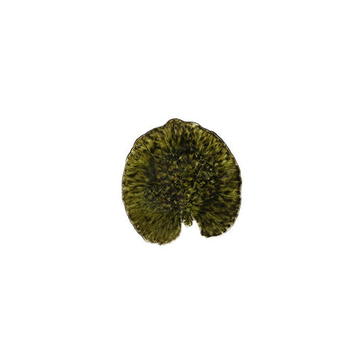Costa Nova - Riviera Forets Alchemille Leaf