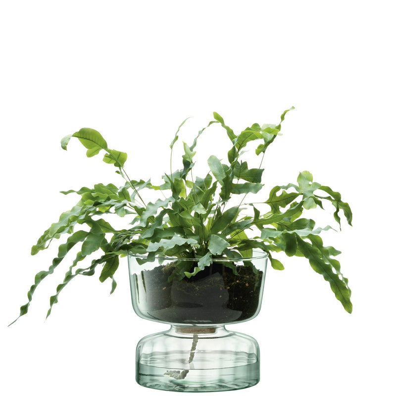 LSA - Canopy Self Watering Planter H22 cm Clear / Part Optic