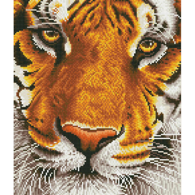 DIAMOND DOTZ - Bengal Magic - Limolin 