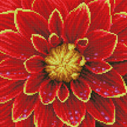 DIAMOND DOTZ - Dahlia - Limolin 