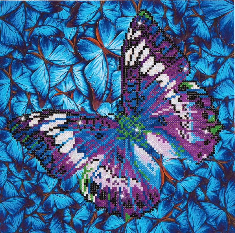 DIAMOND DOTZ - Flutter by Mauve - Limolin 