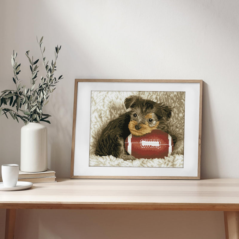 DIAMOND DOTZ - Footy Pup - Limolin 