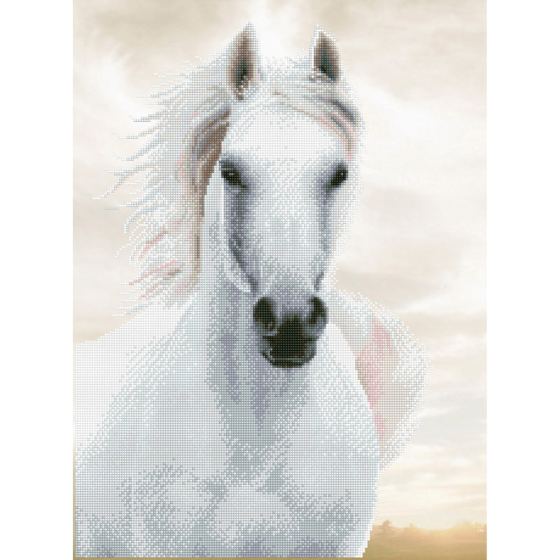 DIAMOND DOTZ - Imperial Stallion - Limolin 