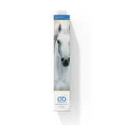 DIAMOND DOTZ - Imperial Stallion - Limolin 