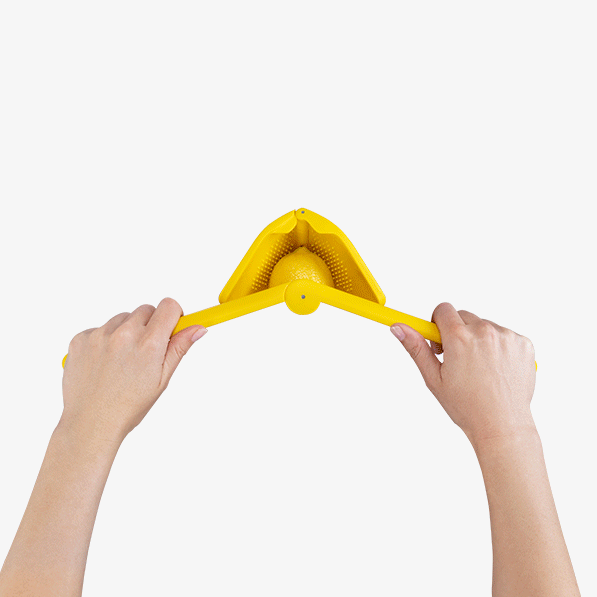 Dreamfarm - Fluicer Lemon (Set of 12) - Limolin 
