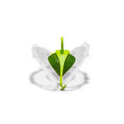 Dreamfarm - Savel Clear/Green - Limolin 