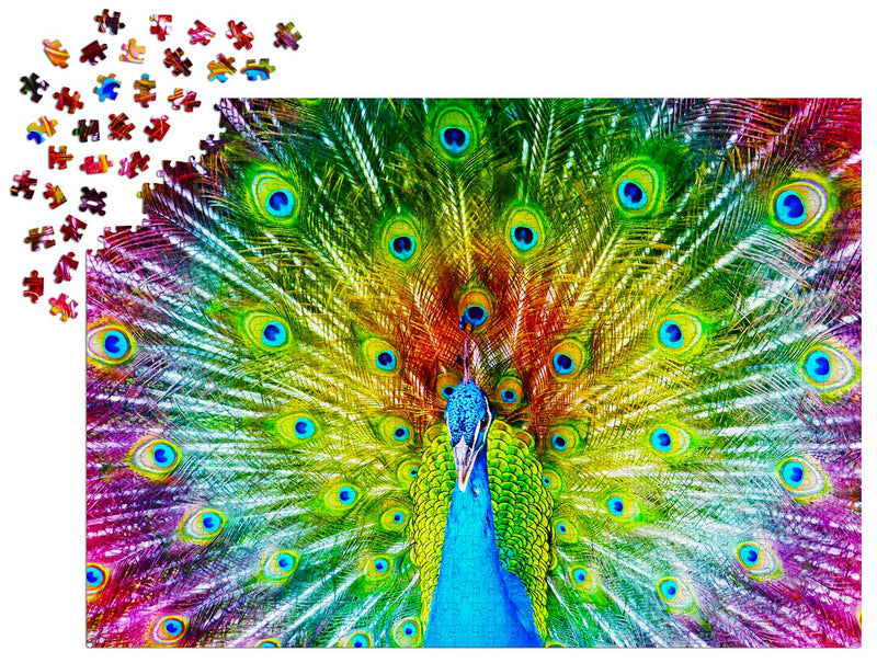 ENJOY - Colorful Peacock (1000-Piece Puzzle) - Limolin 
