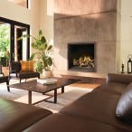 Napoleon - ELEVATION™ X42 - Direct Vent Gas Fireplace | EX42