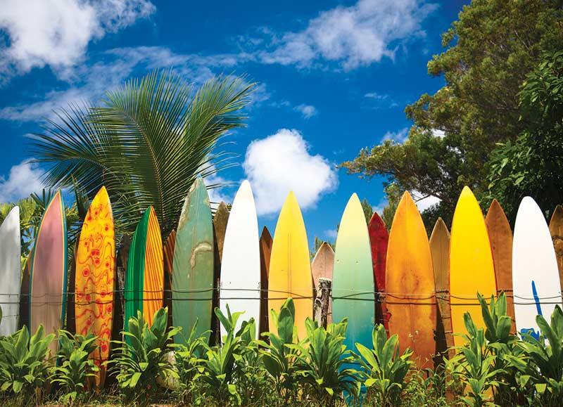 Eurographics - Surfer'S Paradise, Hi (1000-Piece Puzzle) - Limolin 