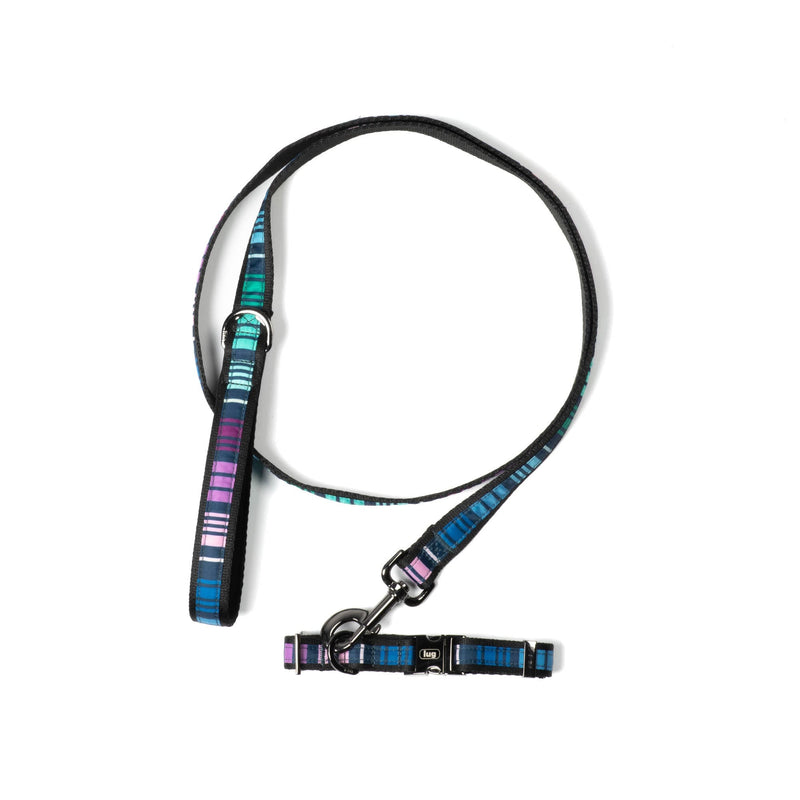 LUG - Fetch Pet Collar and Leash Set