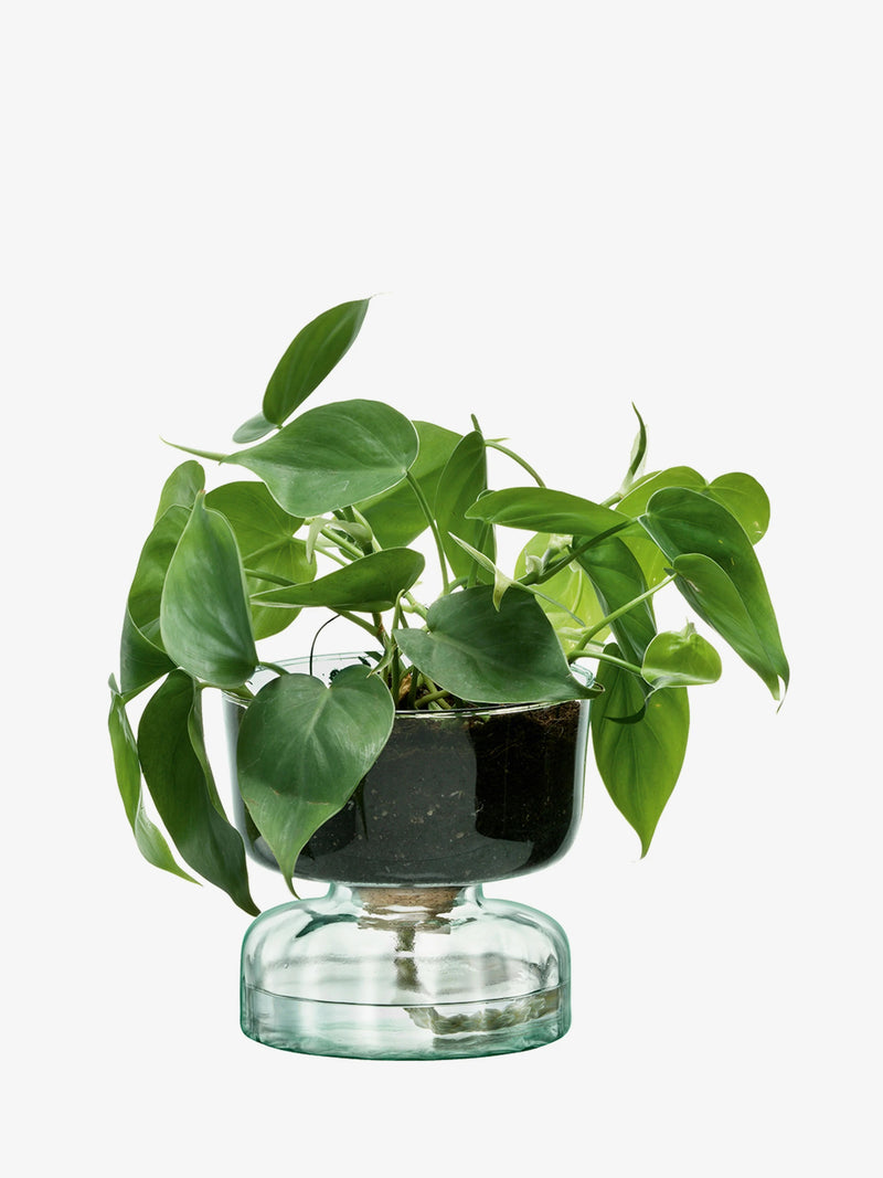 LSA - Canopy - Self-Watering Planter