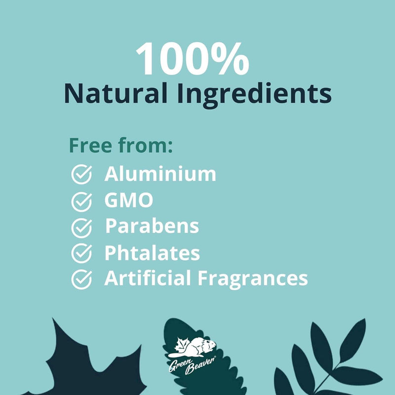 Green Beaver Company - Deodorant Stick - Lavender - Limolin 