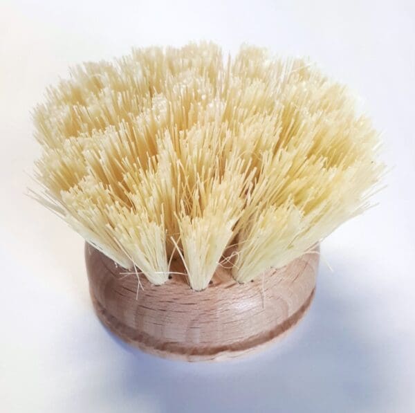HAUG BURSTEN - Dish Brush Replacement Head - 5cm - Limolin 