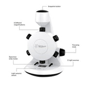 HamiltonBuhl - Steam Beginner Level Deluxe Kit - Full of Coding & Robot Engineering Kits All In One - Limolin 