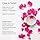 Heritage Store - Rosewater - Refreshing Facial Mist - 8 FL OZ | 237 ML - Limolin 