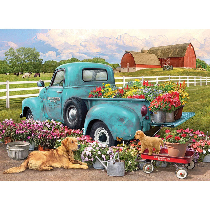 Jack Pine - Flower Truck - Limolin 