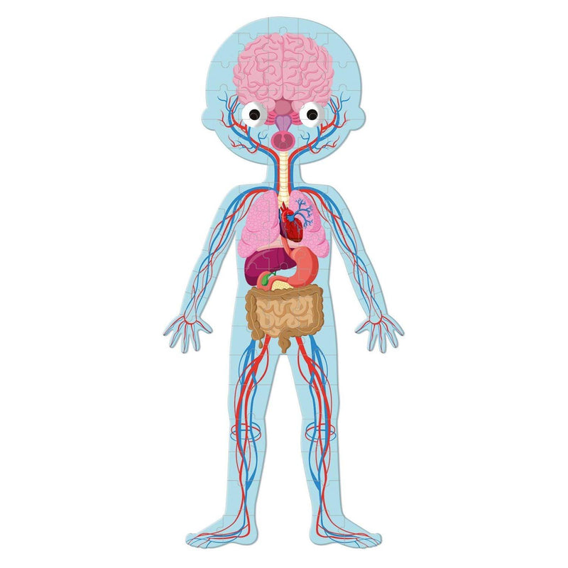 Janod - 4in 1 Educational Puzzle - Human Body - Limolin 