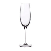 Luigi Bormioli - Crescendo - 8.25 oz Champagne Cava Prosecco Sparkling Wine Glasses (Set of 4) - Limolin 