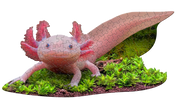 Madd Capp Puzzles - I Am Lil' Axolotl (100 Pc) - Limolin 