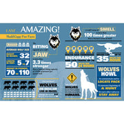 Madd Capp Puzzles - I Am Wolf (300-Piece Puzzle) - Limolin 
